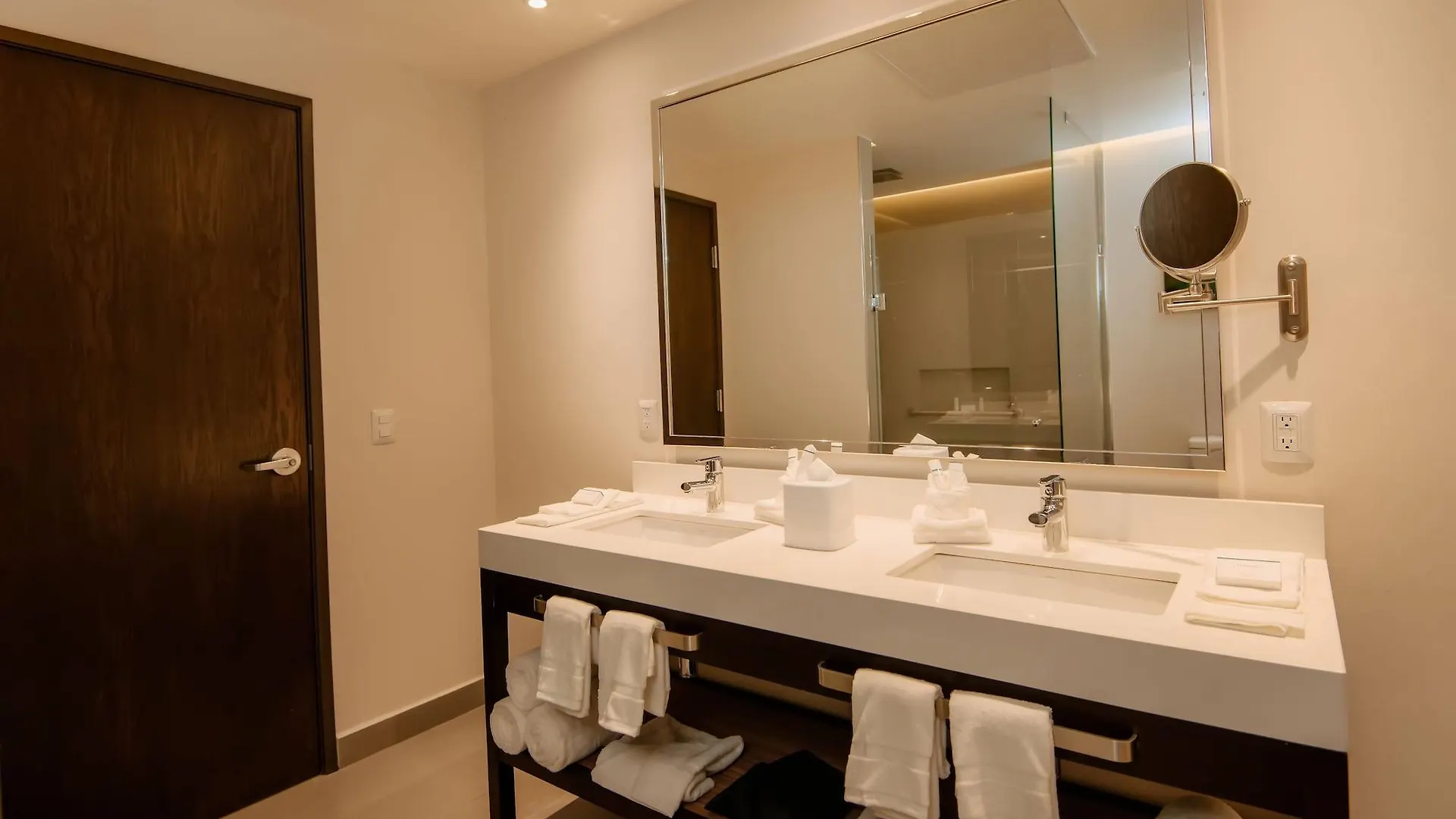 Hotel Hilton Garden Inn Puebla Angelopolis