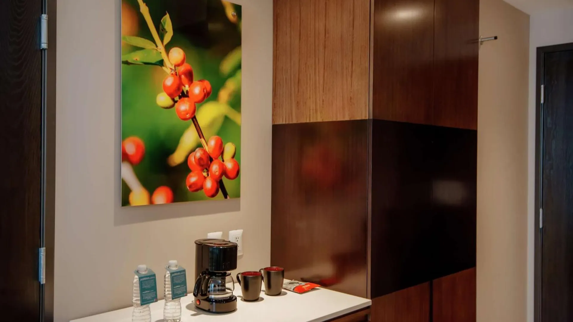 Hilton Garden Inn Puebla Angelopolis